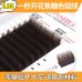 Dream Shirley new 0.05 brown mink velvet one second flowering grafted eyelashes ebay Qingdao origin sourced false eyelashes