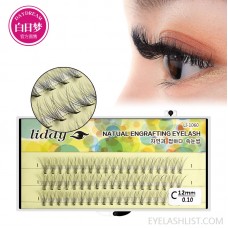 liddy grafted eyelashes ebay 10 planted eyelashes per plant, grafted false eyelashes 60 bundled imitation mink hair