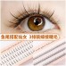 Net red fish tail + fairy hair single cluster three row married hair natural simulation planting single root fake eyelashes wholesale