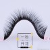 Camellia False Eyelashes 12 Rows One Second Flowering Grafting Hairy Planting Close-packing Soft and Comfortable 2D3D Natural Flowering